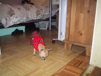 IMG_0065