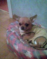bilde001