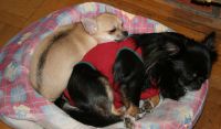 Maria-lillegutt-sleeping